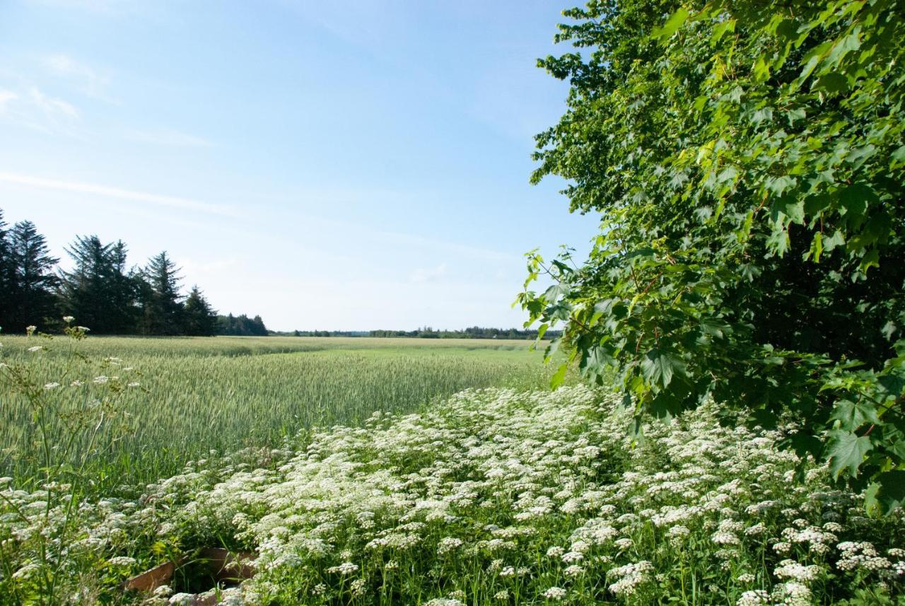 Fuglsang Bed & Breakfast Hjørring Zewnętrze zdjęcie