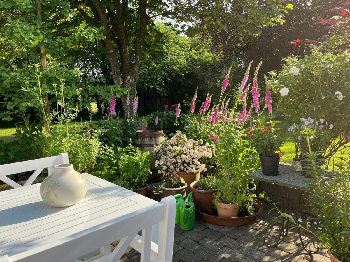 Fuglsang Bed & Breakfast Hjørring Zewnętrze zdjęcie