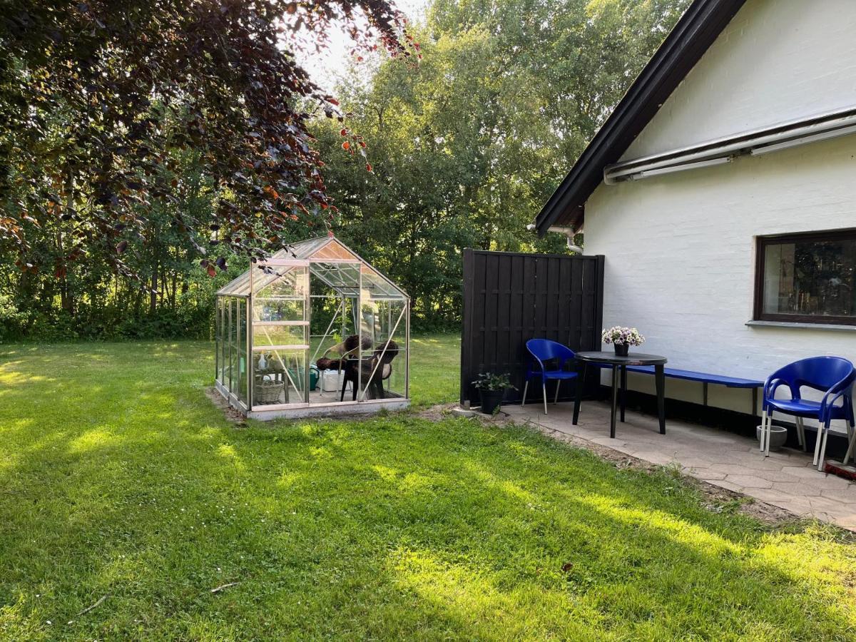 Fuglsang Bed & Breakfast Hjørring Zewnętrze zdjęcie
