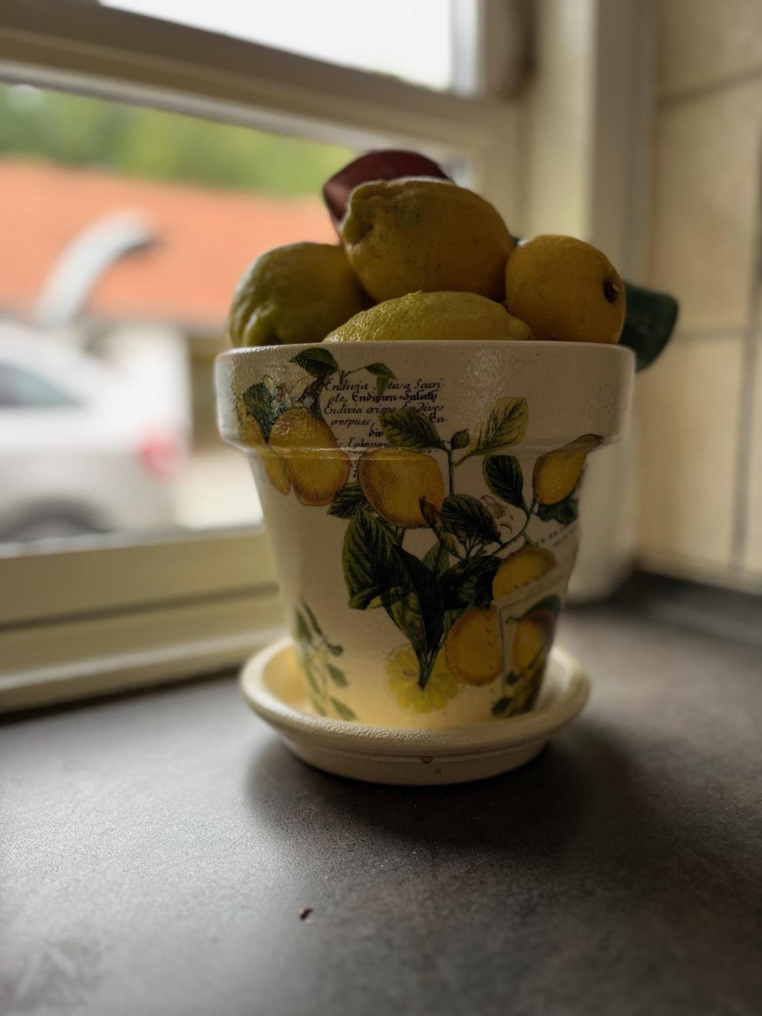 Fuglsang Bed & Breakfast Hjørring Zewnętrze zdjęcie